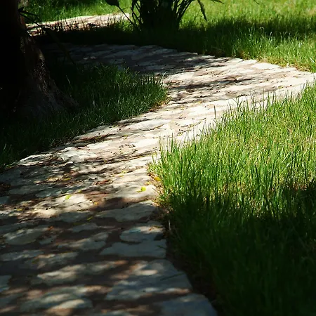 Clumba 칼라 라트자다